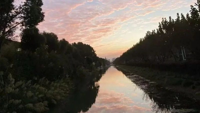 税务筹划与税务规划：本质区别与详细步骤解析